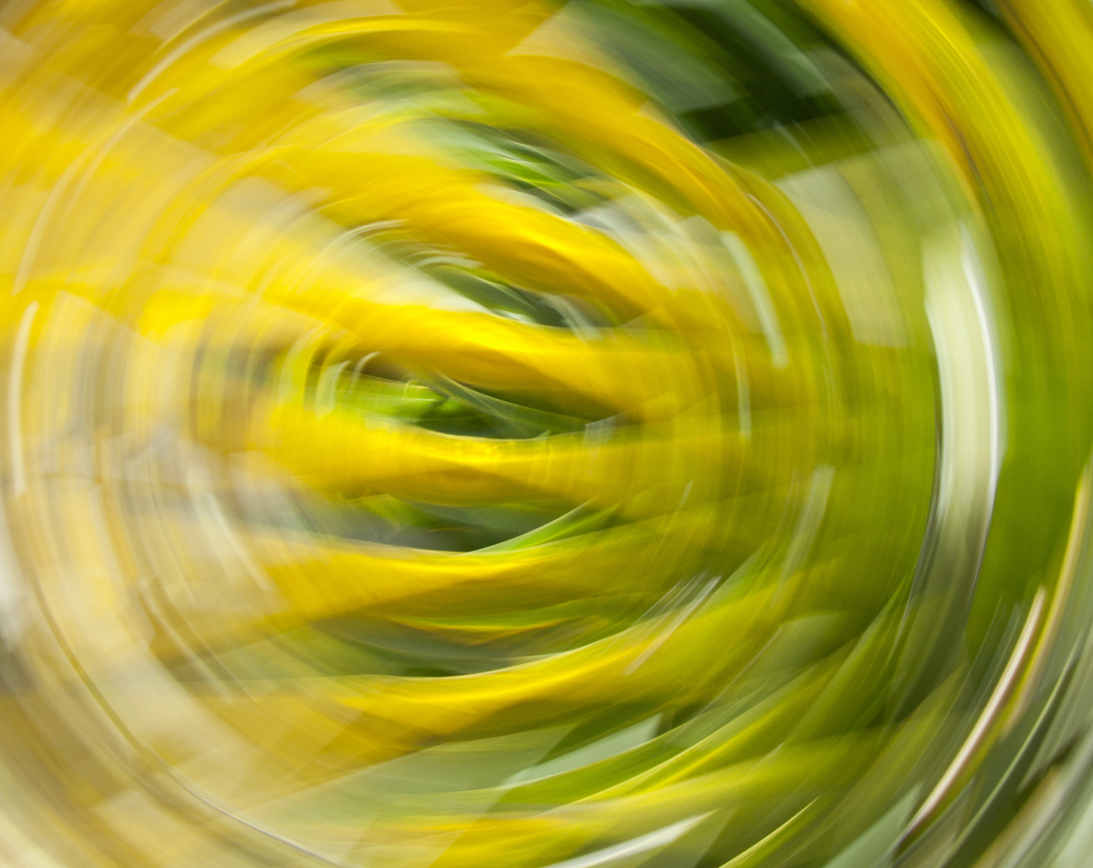 Agnes Perspective_abstract art photography_decor_01