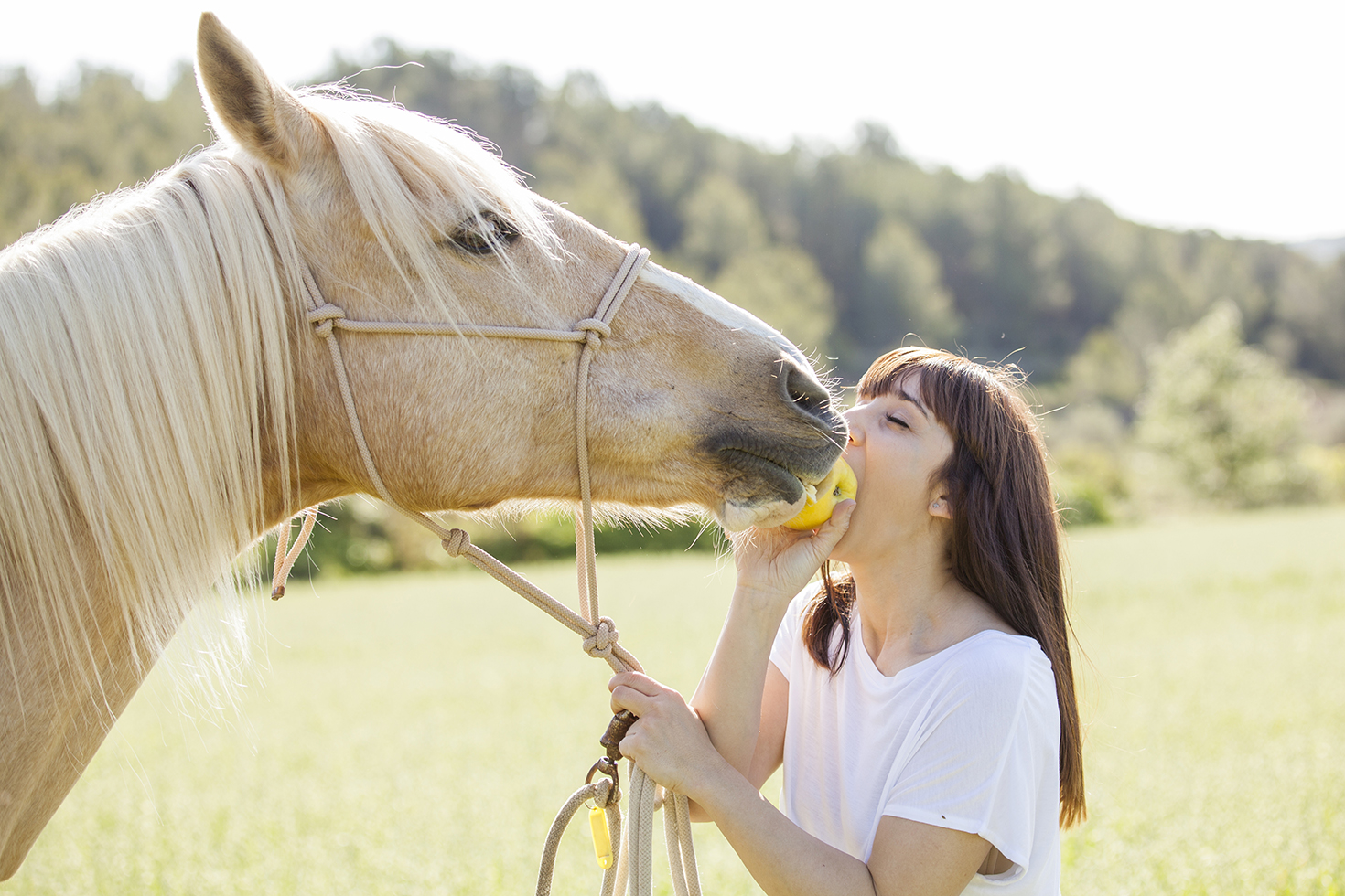 Agnes Perspective_retrato caballo